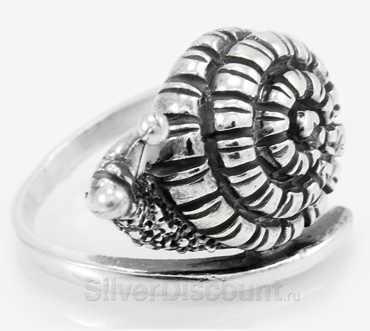 Серебряное кольцо с улиткой, вид сбоку